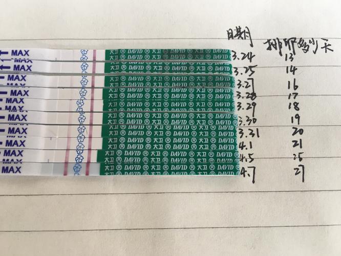 着床试纸检测