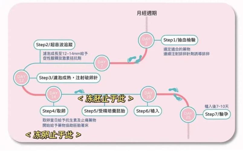 试管婴儿冻胚着床时间晚吗？影响因素解析