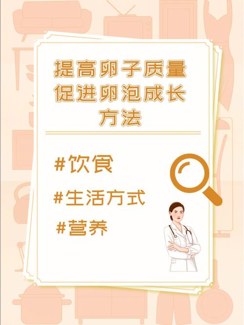 卵泡质量提升