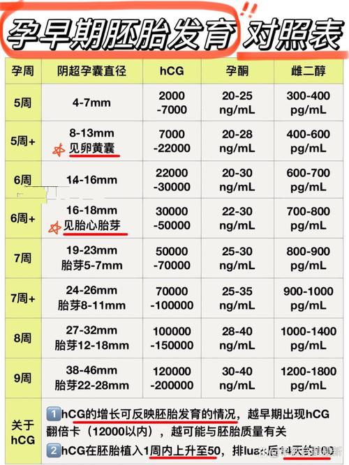 胚胎培育指标