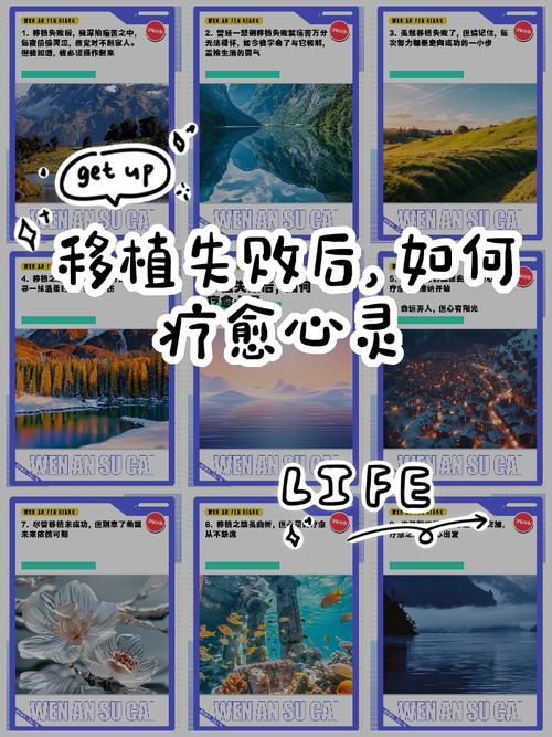 移植后心态