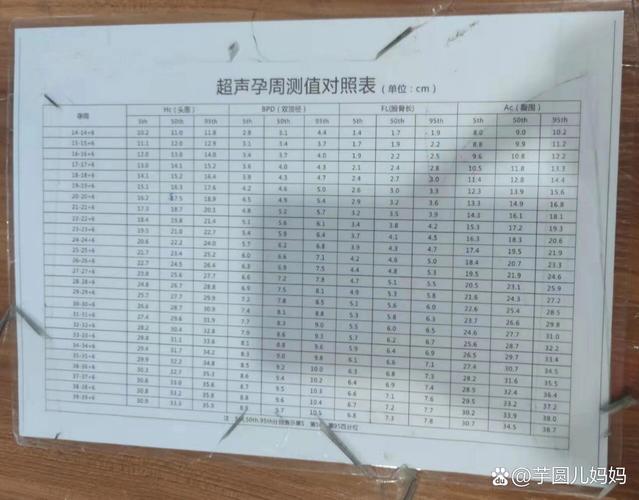  超声孕周测量