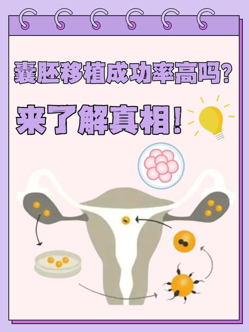 附件炎患者能否成功进行试管婴儿治疗？