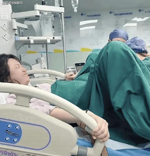  视频观看
【描述】：本文详细介绍了如何观看国外试管婴儿移植过程的视频，包括选择平台、筛选内容、关注细节等方面，帮助大家更全面地了解这一过程。