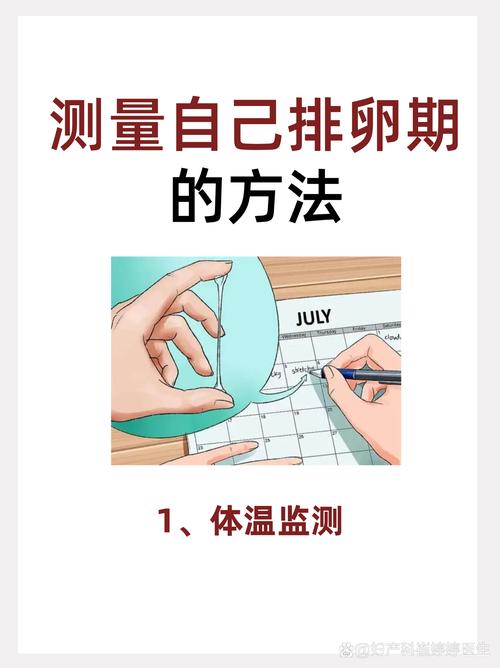 排卵步骤
