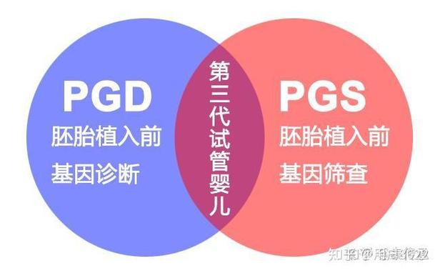 试管婴儿历程
描述: 本文讲述37岁女性做三代试管婴儿面临卵巢功能衰退、染色体异常等挑战，分享一位女性的试管历程，从检查、促排到移植验孕，鼓励此类女性坚定信念，积极面对，有望实现妈妈梦 。