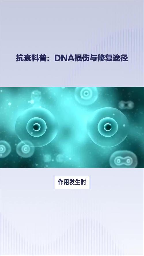  基因修复