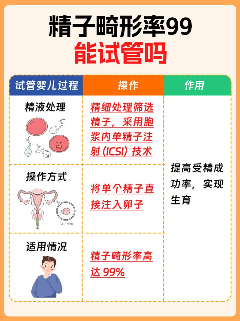 精子畸形高是否影响试管婴儿成功率？