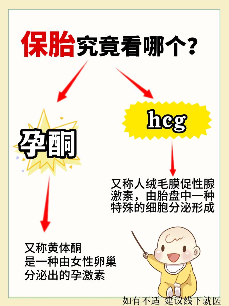 囊胚保胎技术
