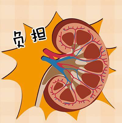 肾脏负担