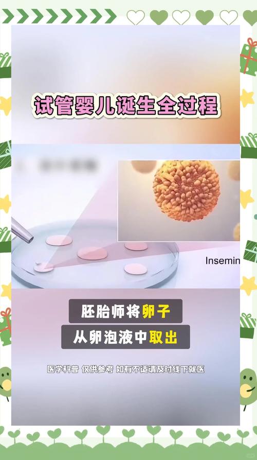 试管婴儿诞生过程