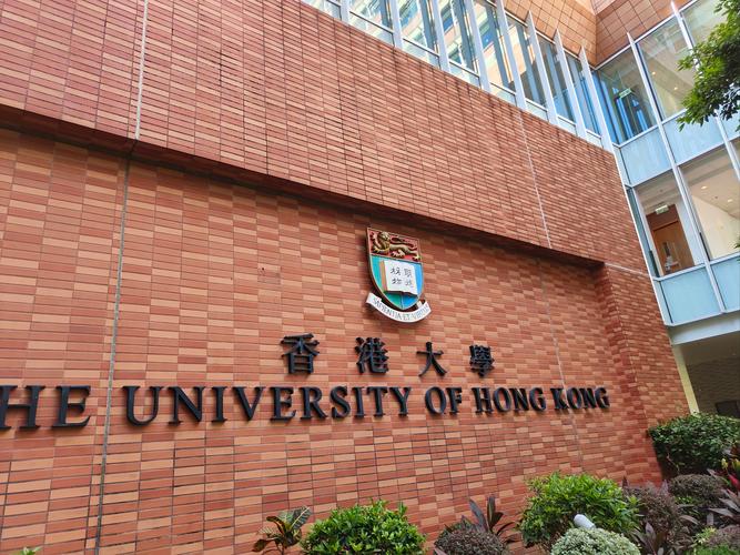  港大辅助生育