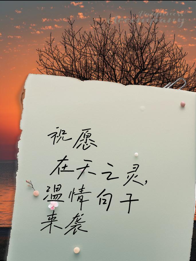 温情