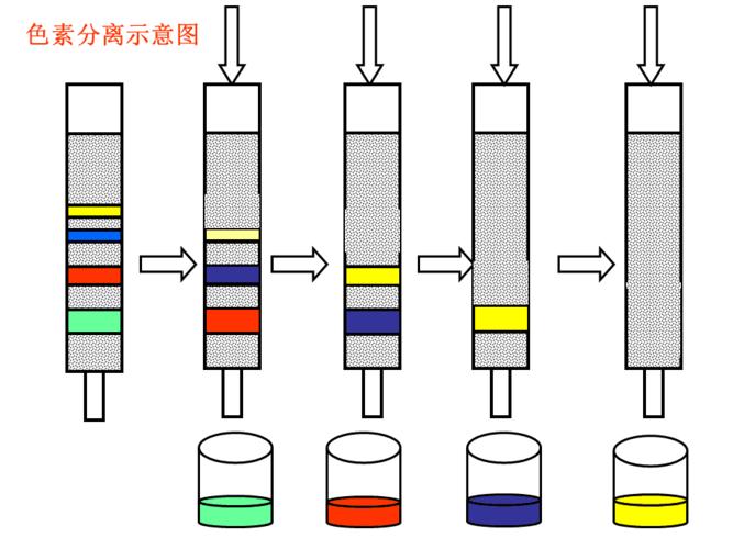  色谱法