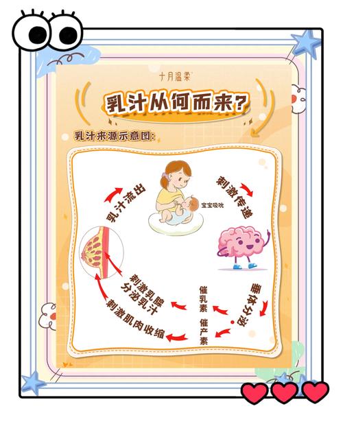 乳汁生成