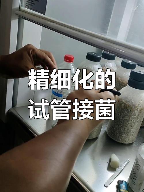 接种试管是什么意思？探索其背后的科学原理与应用