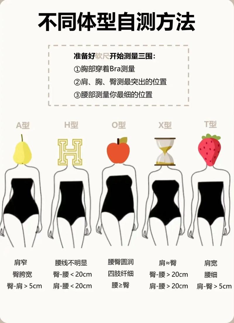 体型