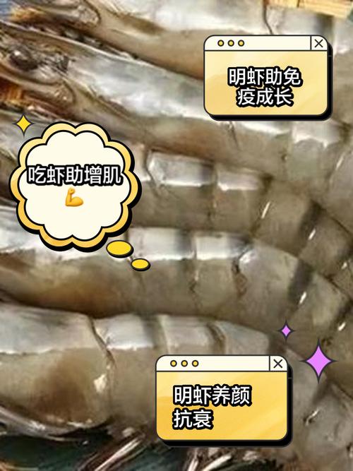 刚做完试管期，海虾是否安全可食用？