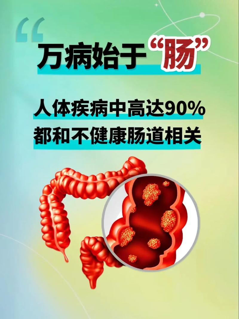  肠道健康