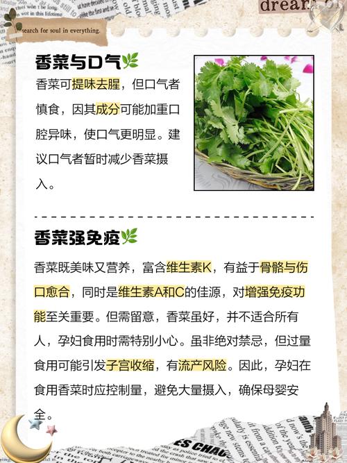 试管婴儿能否食用香菜？营养与安全性解析