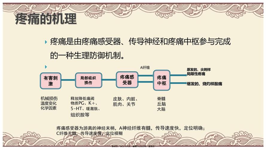 疼痛因素