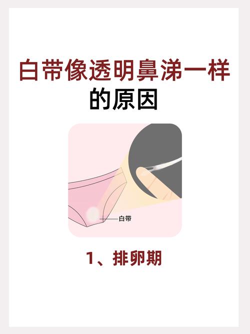 试管促排期间白带变化：为何像果冻般透明？