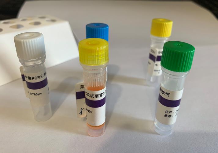 流感抗体检测中应使用何种试管最为合适？