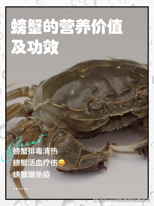 试管期间能吃螃蟹吗？营养与风险大揭秘