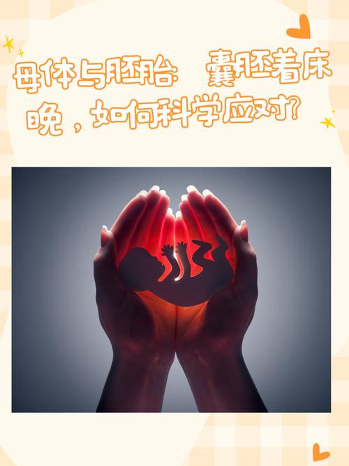 囊胚着床晚