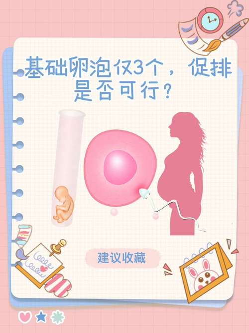 基础卵泡数量