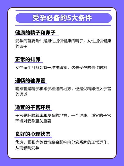 受孕条件