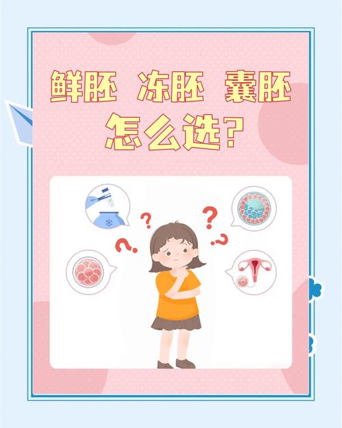 胚胎着床
描述: 本文详细解析了试管婴儿冻胚移植前调理的重要性，通过数据对比凸显其意义。同时，从生活方式、饮食、心理、医疗等多方面介绍调理方法，助力提高移植成功率，为求子家庭提供实用指导 。