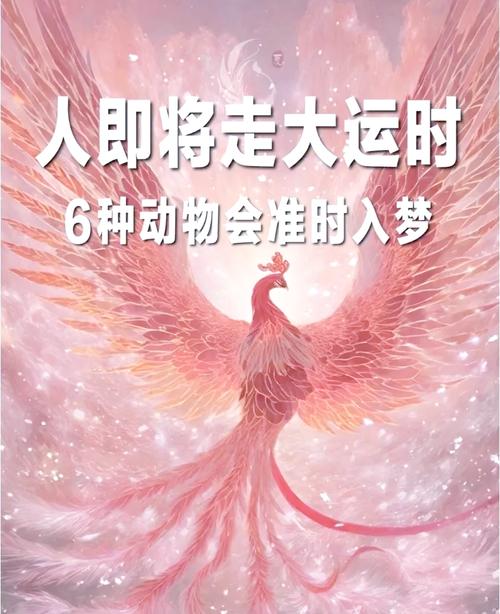 预兆