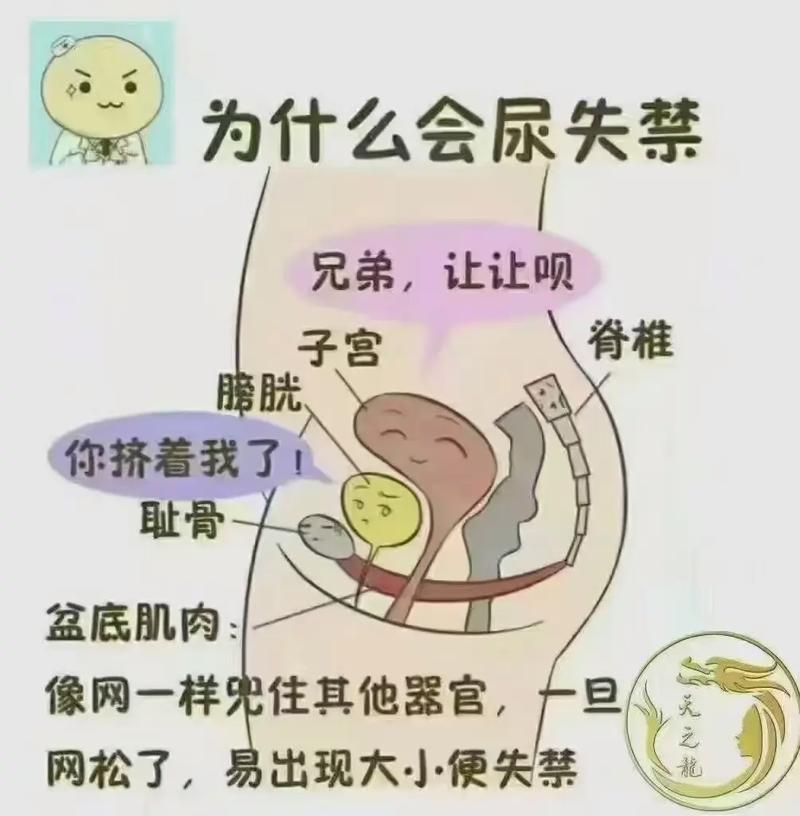 漏尿原因