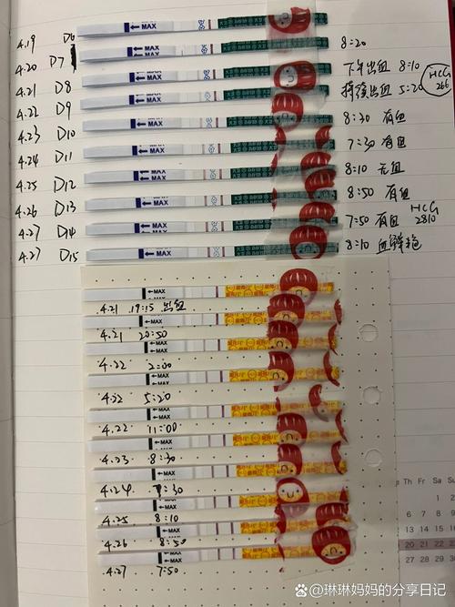 移植十五天