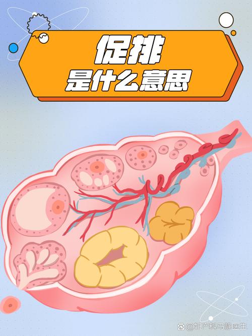 连续促排卵