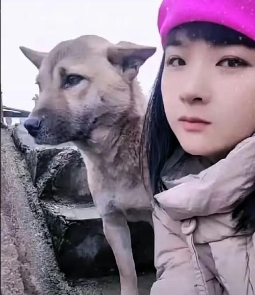 试管婴儿网红