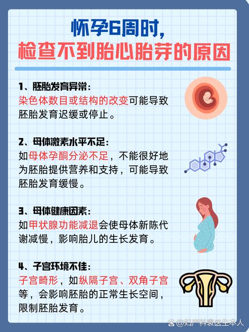 应对措施
描述: 本文详细阐述了试管婴儿胎心胎芽发育缓慢的原因，包括胚胎自身、母体及外部环境等因素，并列举相关统计数据。同时，针对这些原因给出了密切监测、针对性治疗、调整生活方式及保持良好心态等应对措施 。