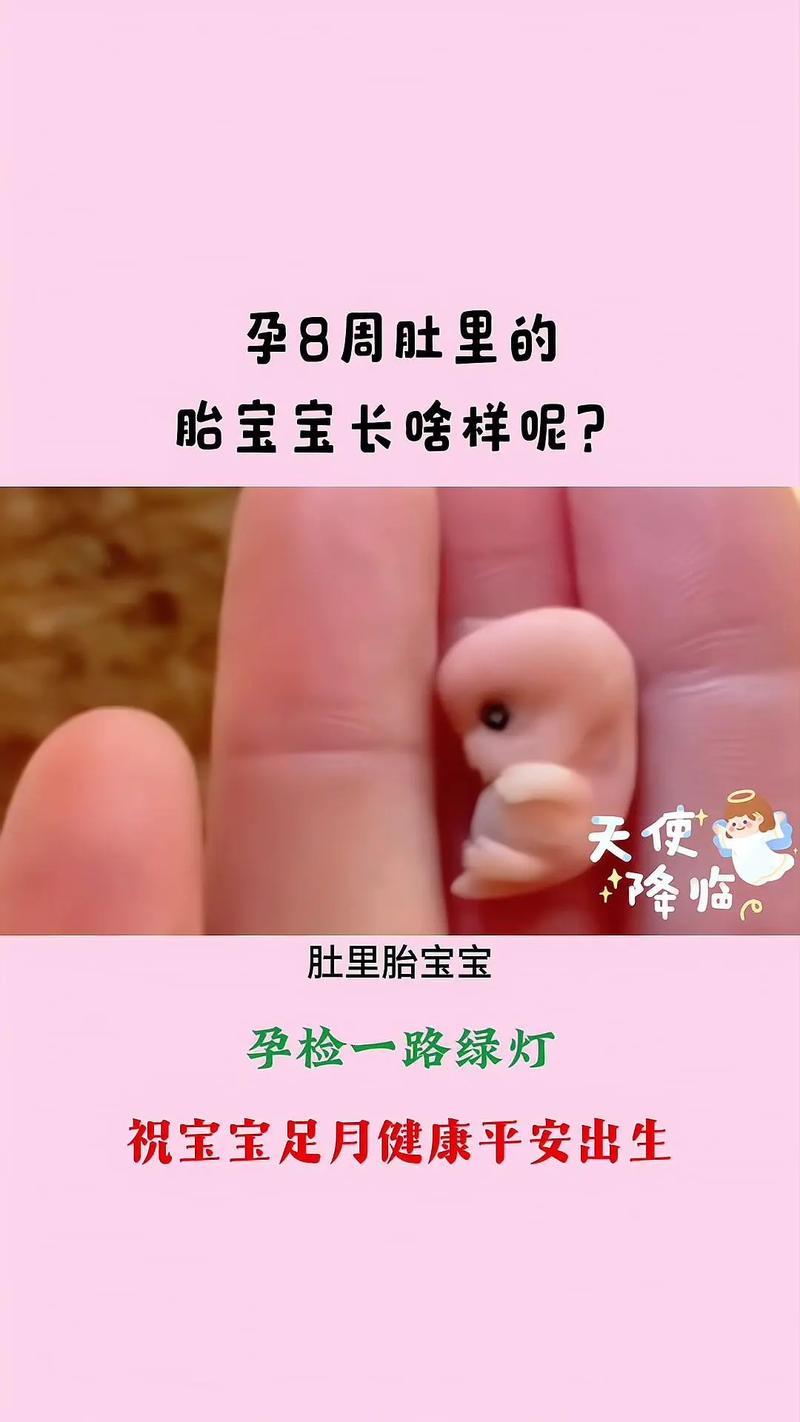 怀孕8周