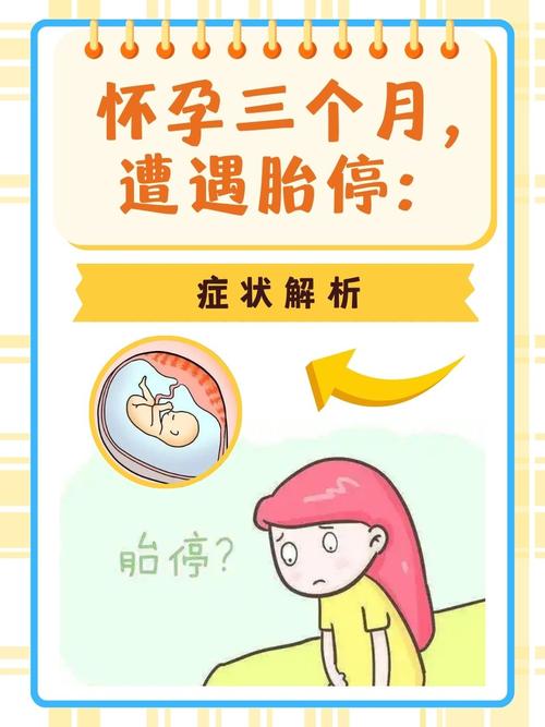 试管停育后多久可以再次怀孕？解读科学与建议