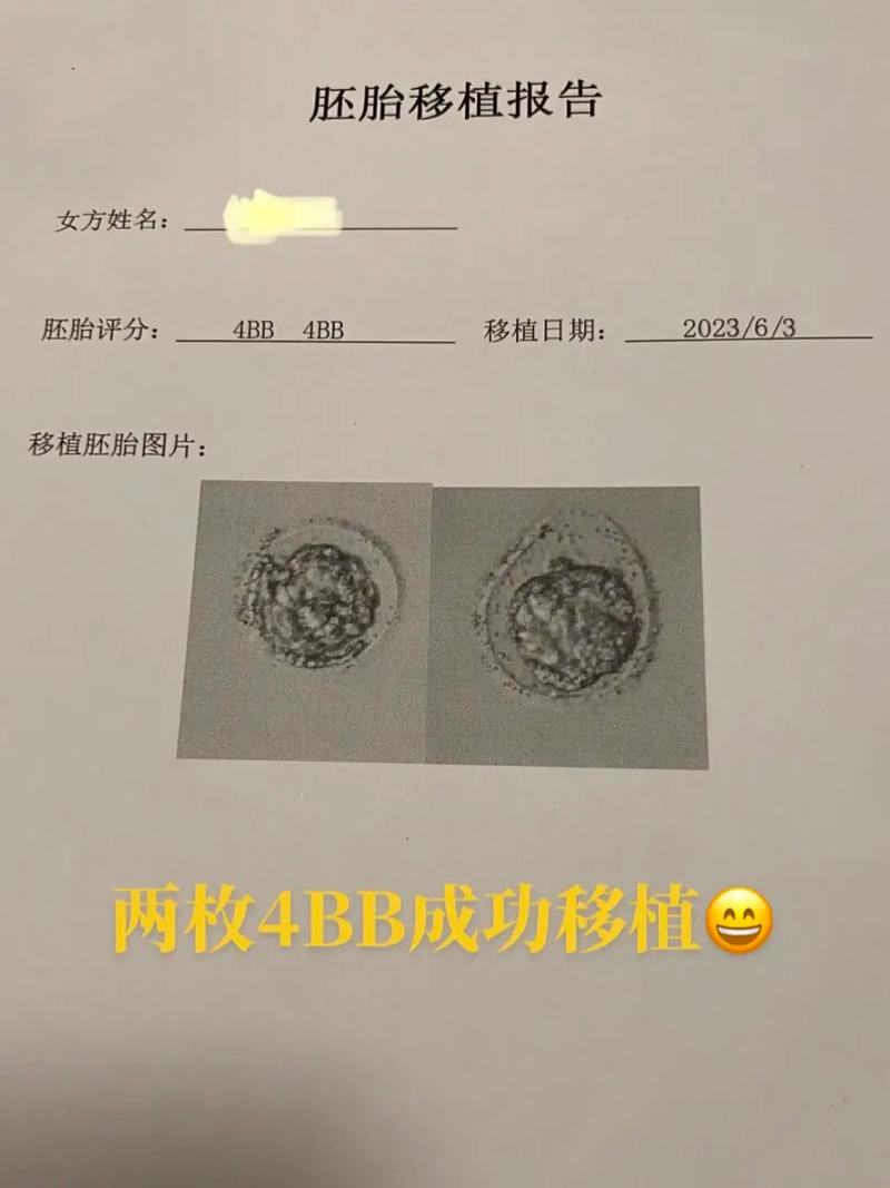移错胚胎