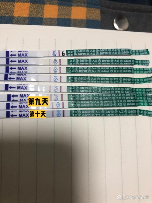移植第十天