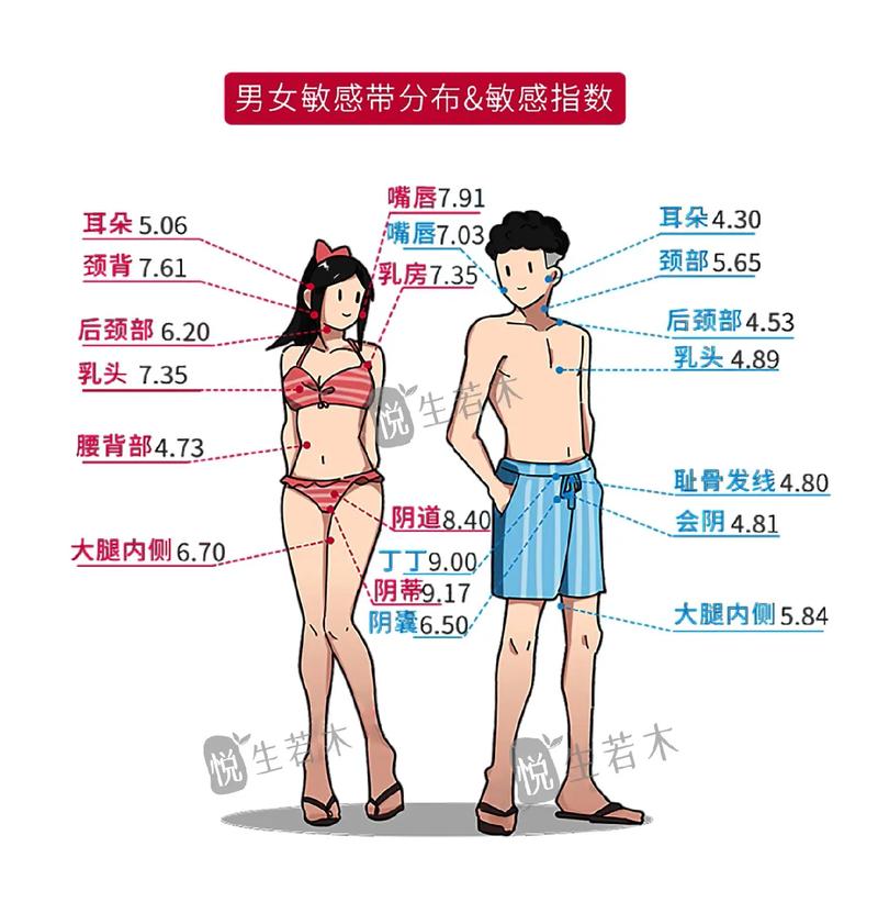 男女选择准确性