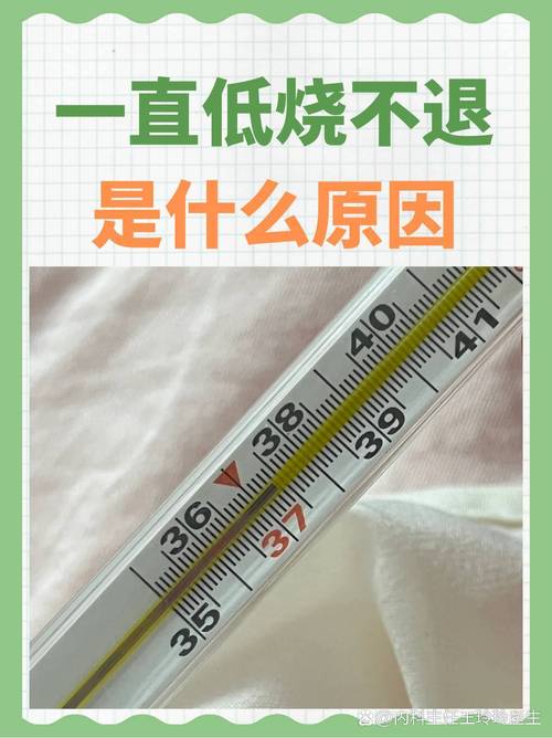  体温偏低