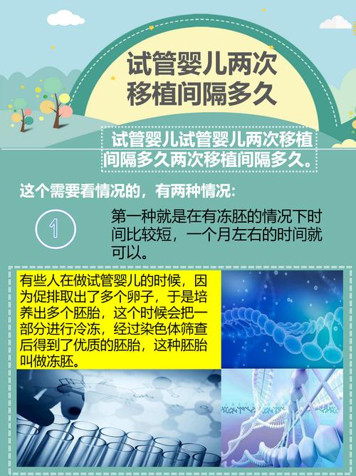 两次试管婴儿