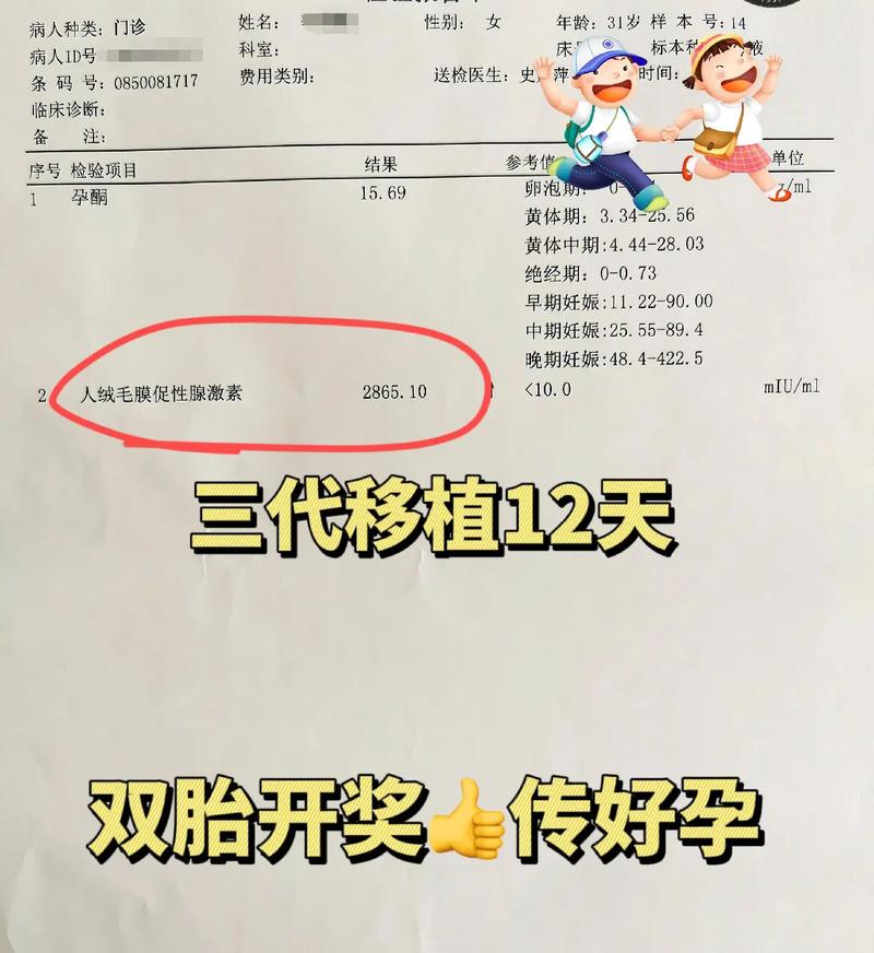 移植后怀孕成功率