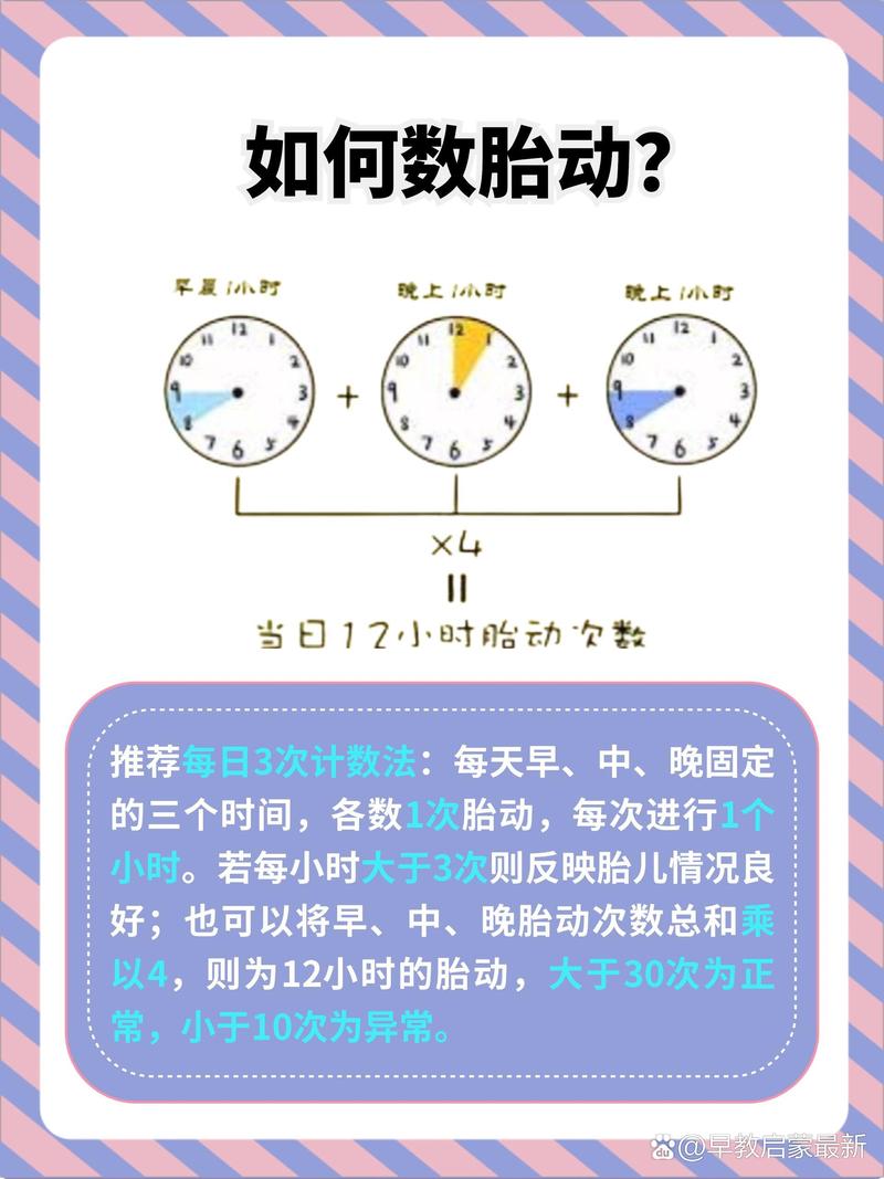  胎动规律