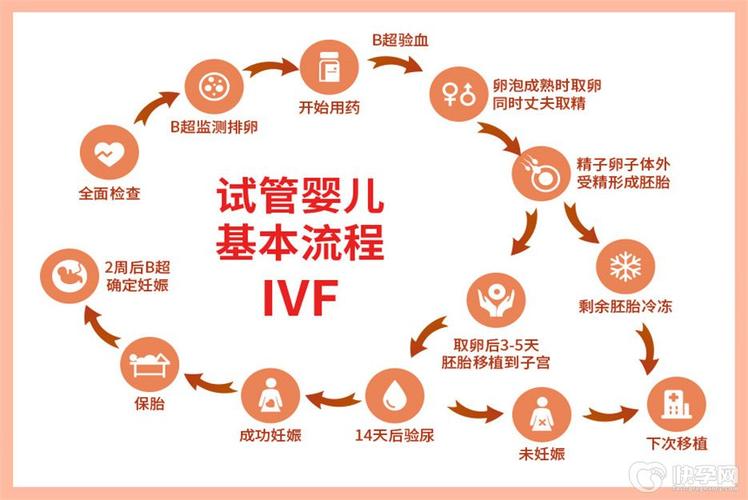  IVF流程