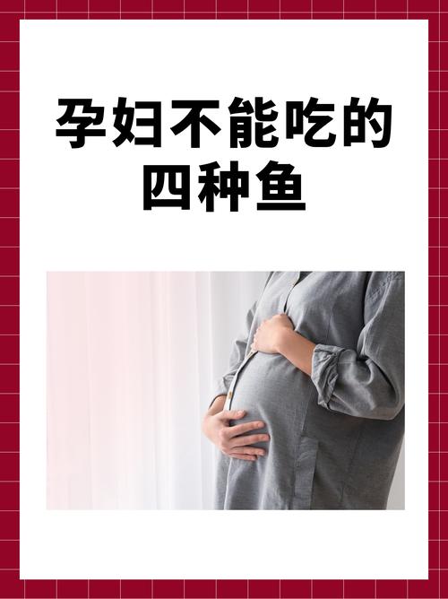试管怀孕女性注意：怀孕期间有哪些鱼类禁止食用？