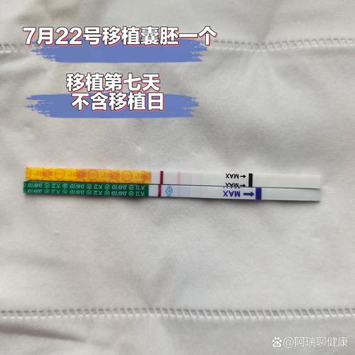 移植后7周